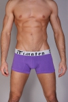 Timoteo Classic Boxer Brief Purple